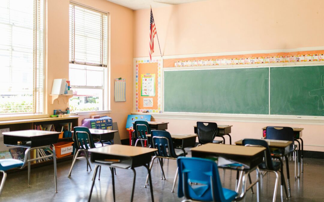 Why Vetted, Trained Professionals are Essential for School Environments